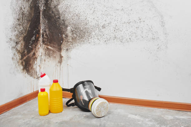 Best HVAC Mold Remediation in Yukon, OK