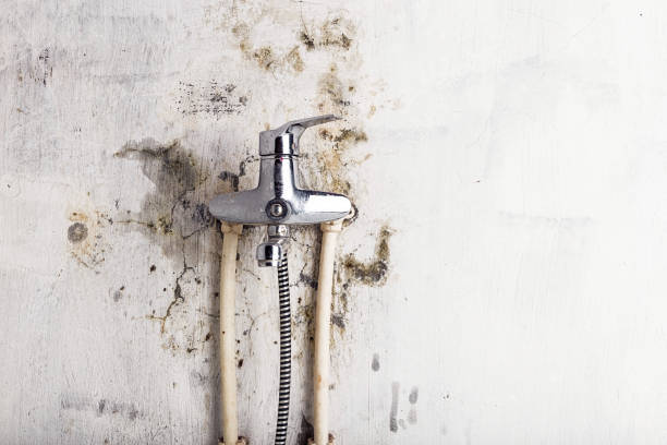 Best Bathroom Mold Remediation in Yukon, OK