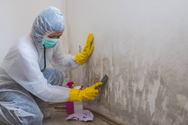 Best Bathroom Mold Remediation in Yukon, OK