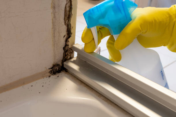 Trusted Yukon, OK Mold Remediation Experts